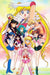 Sailor Moon home decor silk poster. - Adilsons