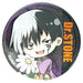 Dr. Stone stylish brooches. - Adilsons