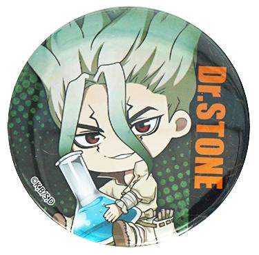 Dr. Stone stylish brooches. - Adilsons