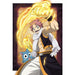 Fairy Tail Character Posters - Adilsons