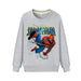 Spiderman kids long sleeve hoodies. - Adilsons