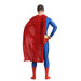 Superman amazing costume. - Adilsons